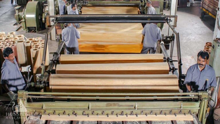 Veneer Production